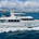 Paragon Motor Yachts