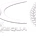 Dellapasqua