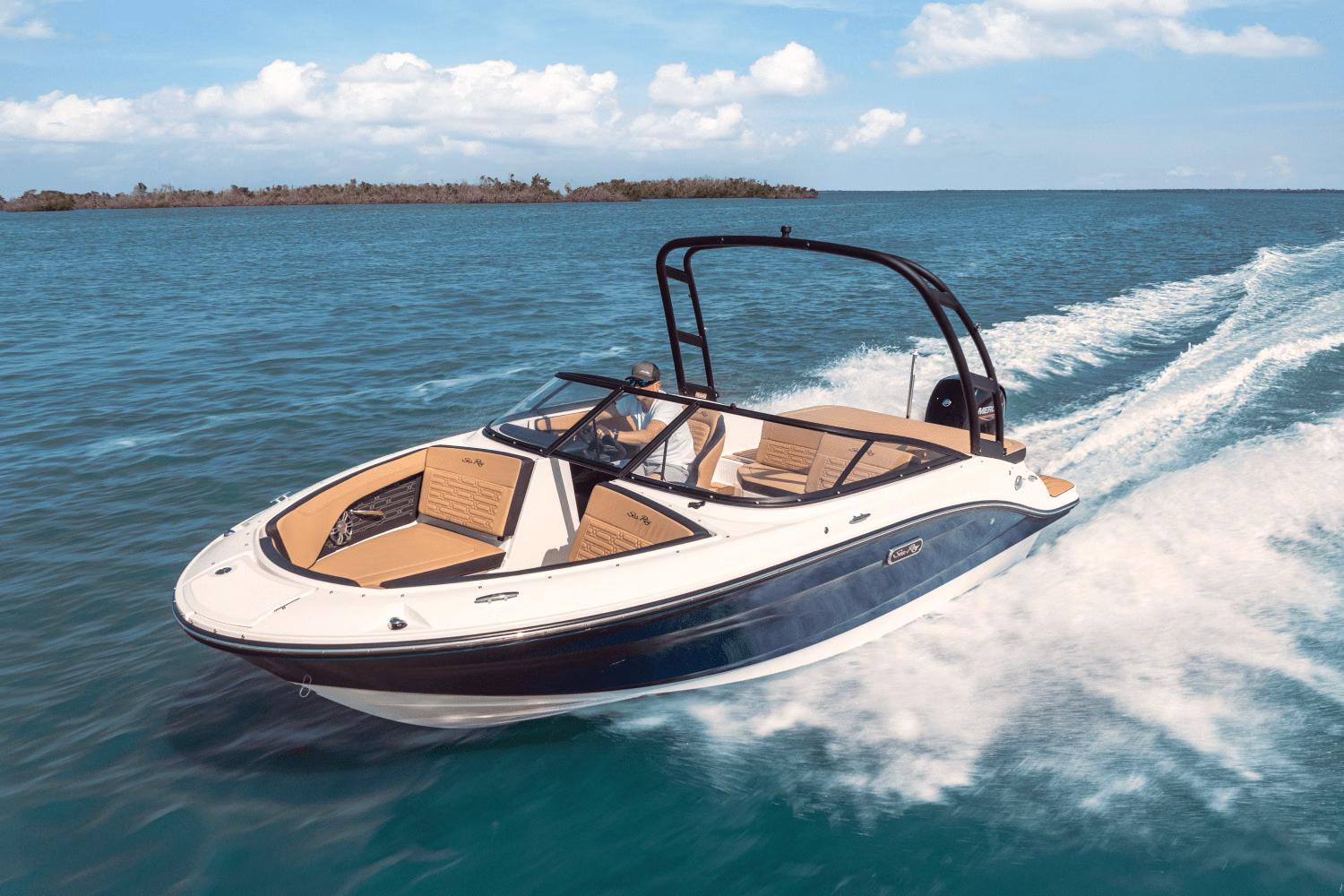 2025 Sea Ray SPX 190 Outboard 