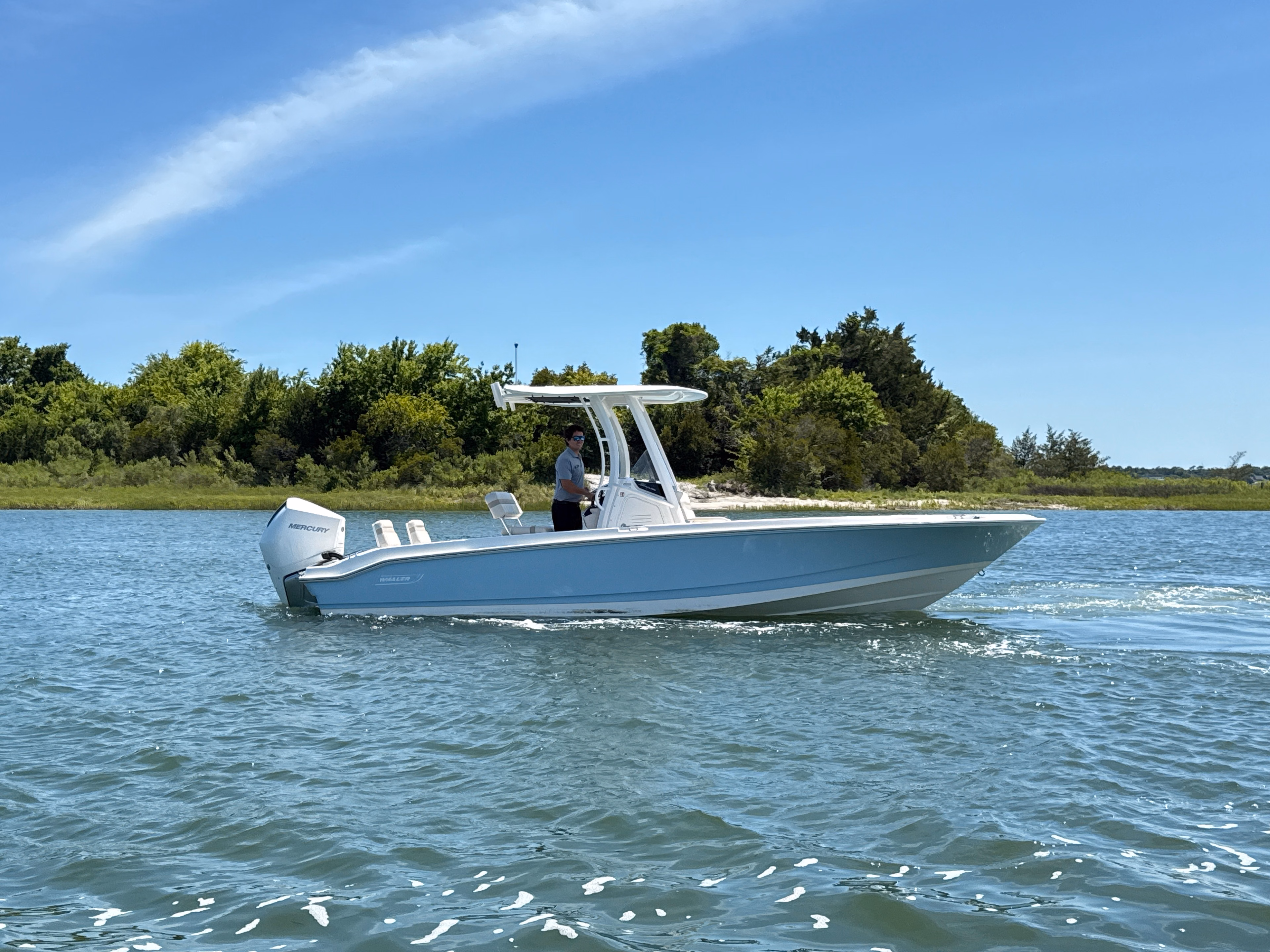 2026 Boston Whaler 250 Dauntless