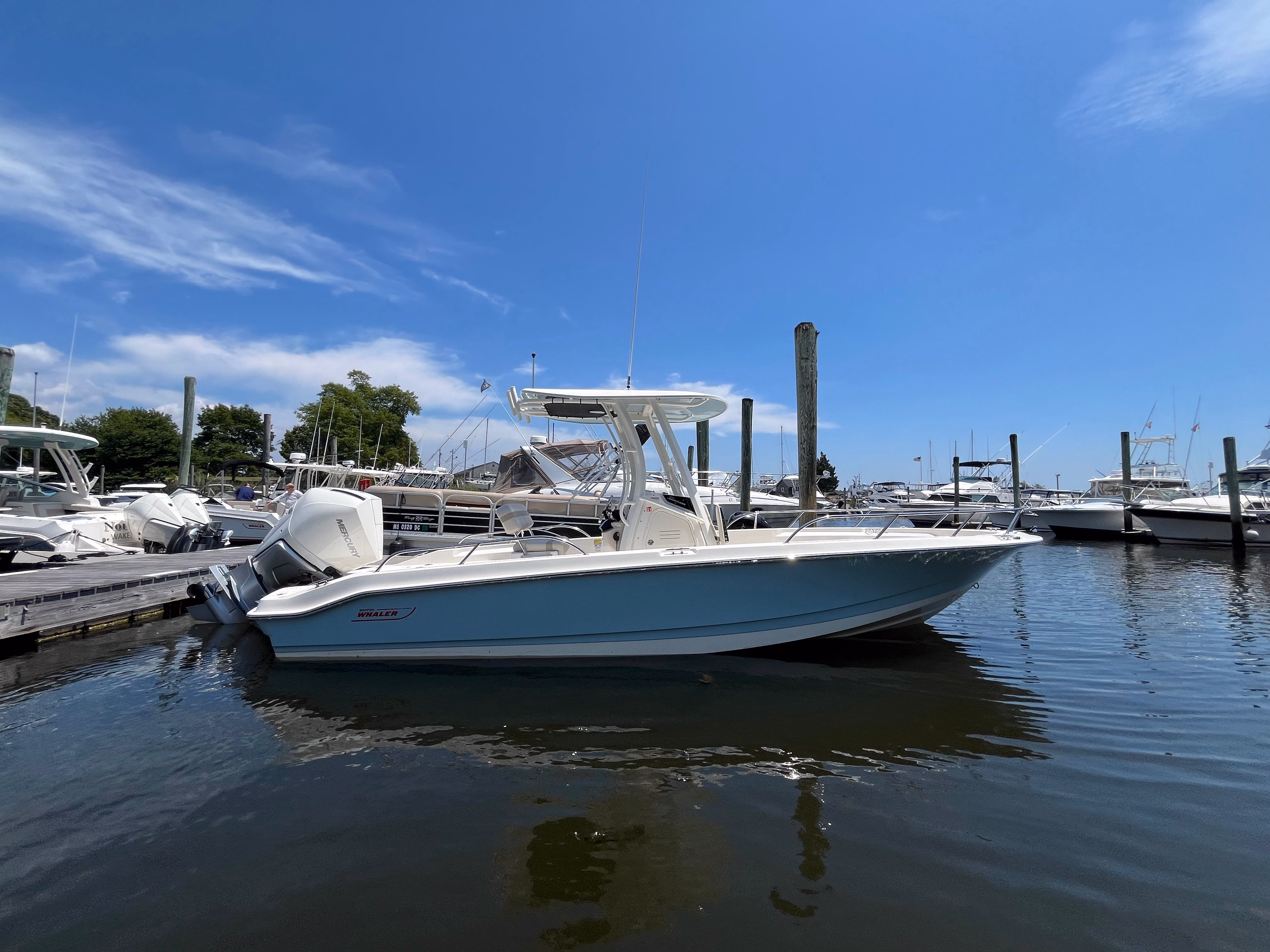 2026 Boston Whaler 250 Dauntless