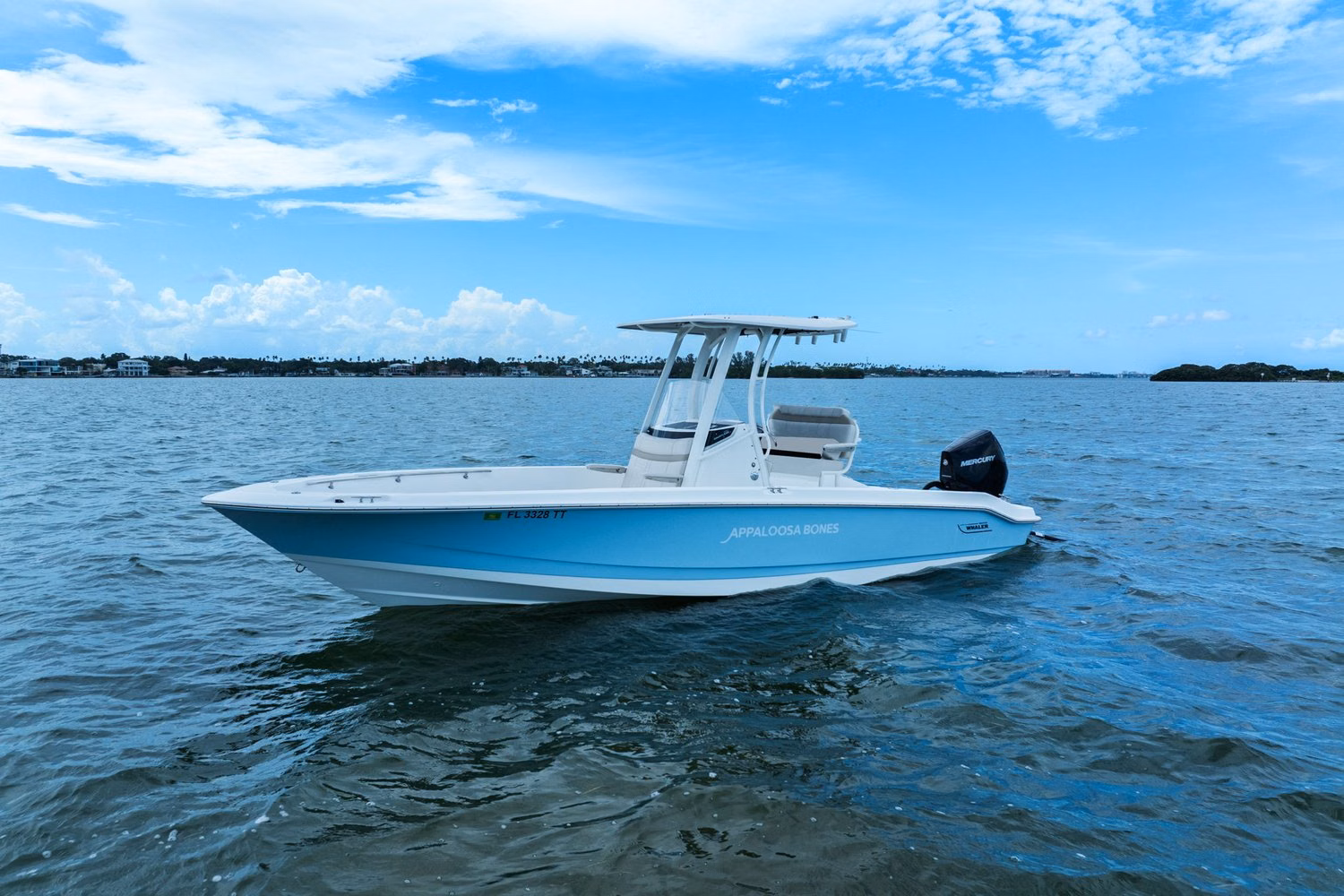 2024 Boston Whaler 250 Dauntless