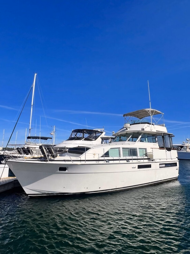 1977 Bertram 42 Motor Yacht
