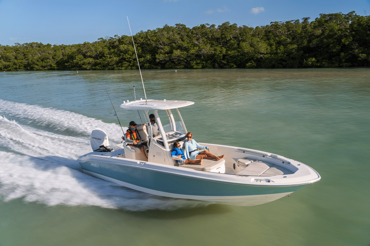 2027 Boston Whaler 250 Dauntless