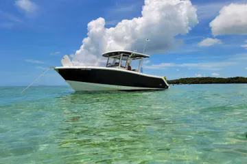 2018 Robalo R302 