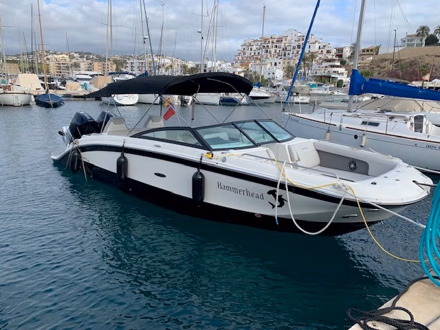 2024 Sea Ray SDX 290 Outboard 