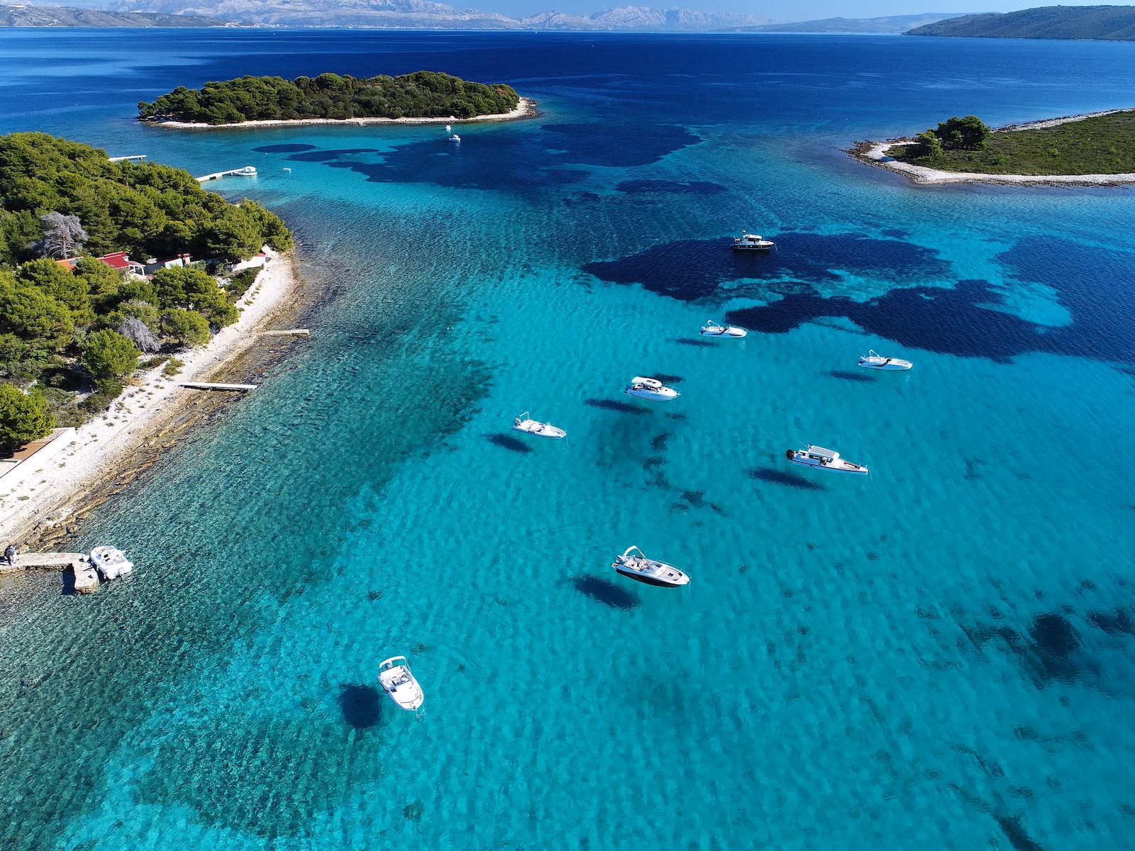 Blue Lagoon, Krknjaši