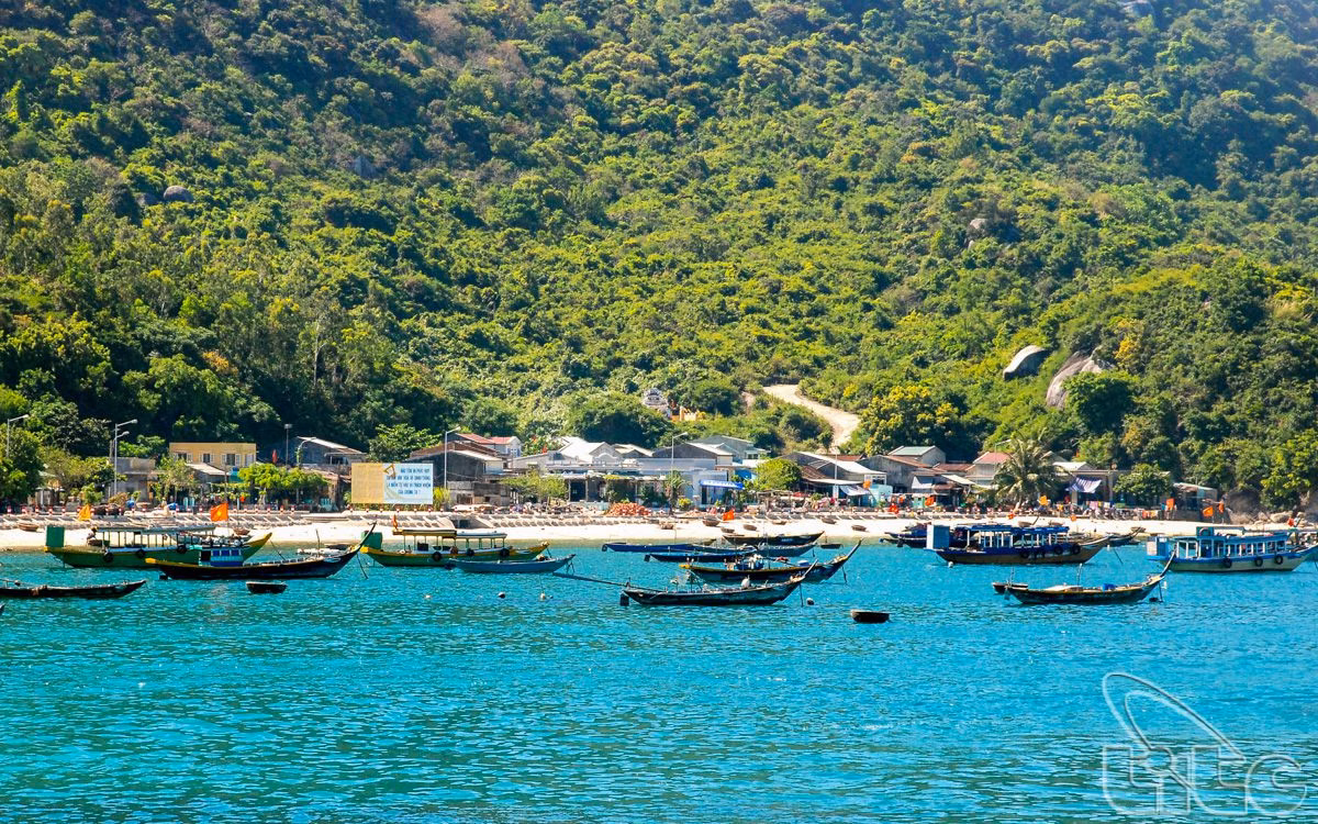 Cù Lao Chàm