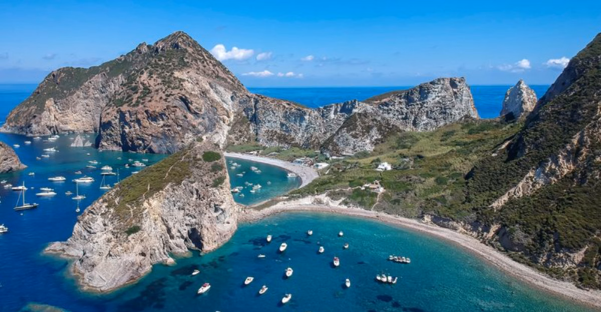 Palmarola