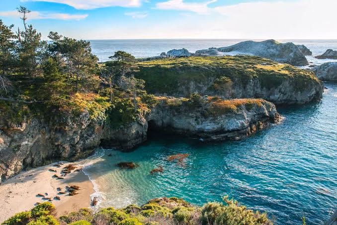 Point Lobos, Whalers & Bluefish Cove