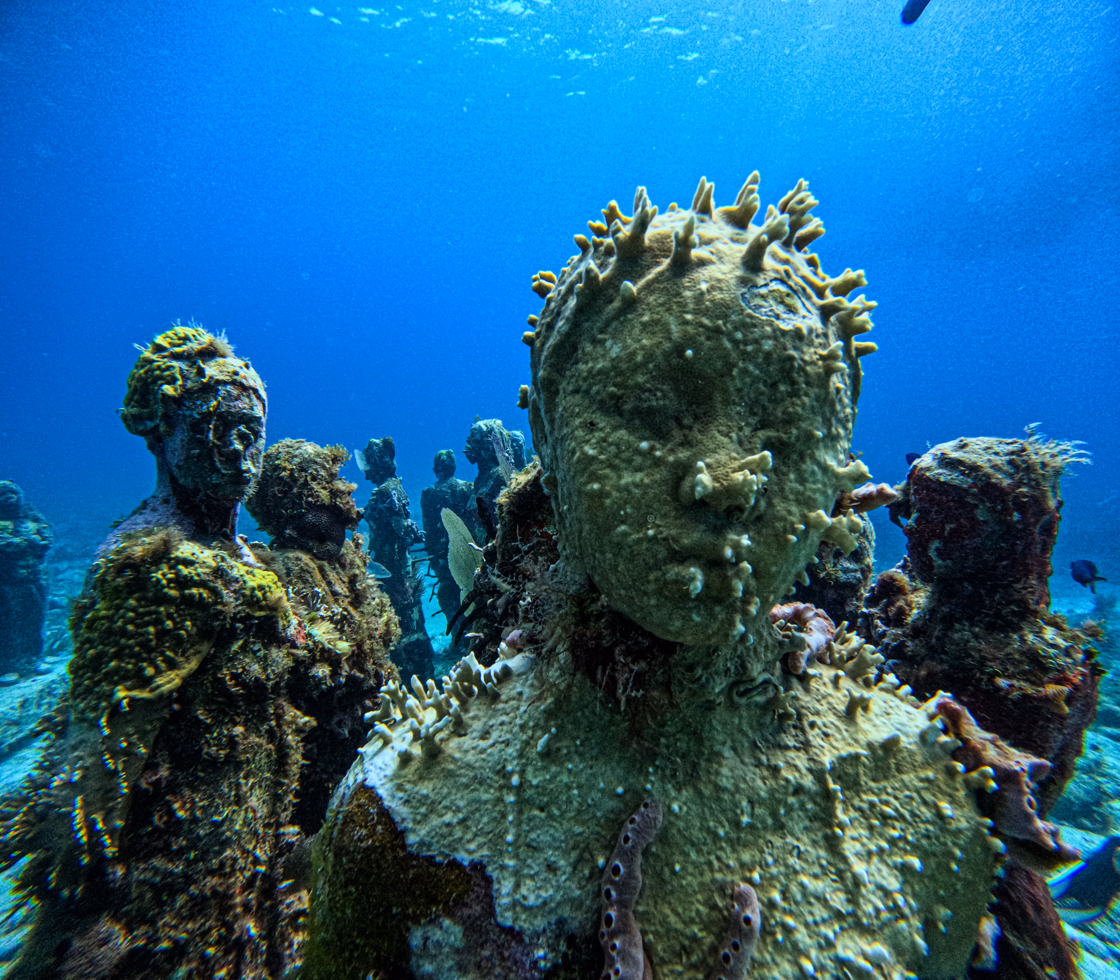 MUSA, Museo Subacuático de Arte (Salón Manchones)