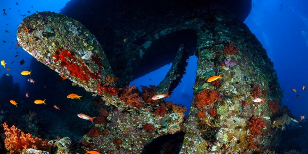 SS Carnatic