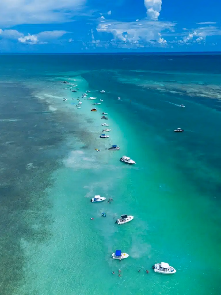 Islamorada sandbars, Whale Harbor & Shell Key