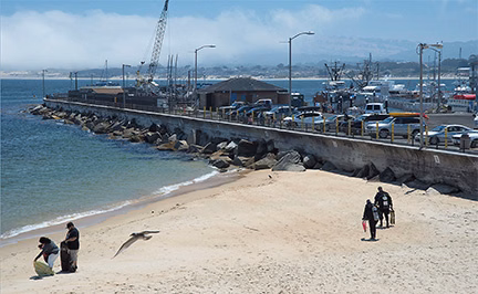 Monterey Breakwater