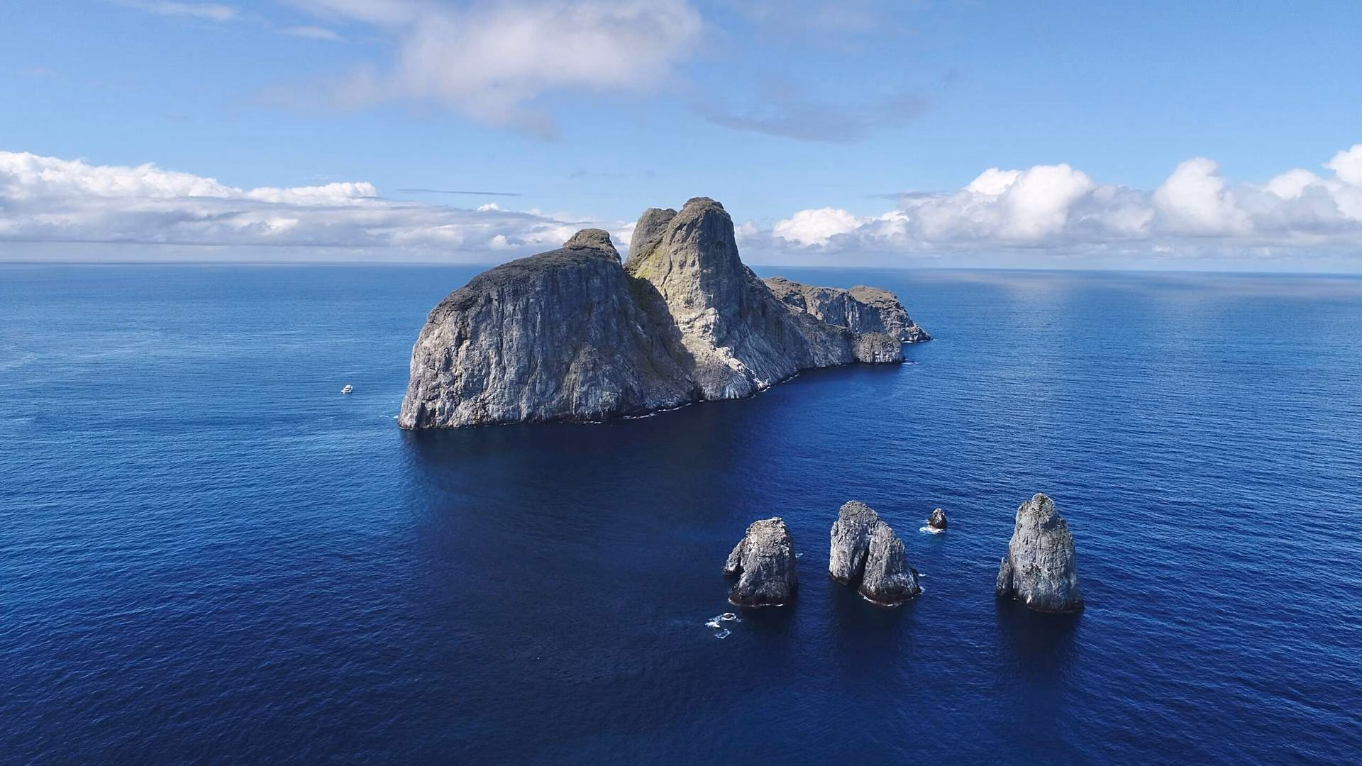 Malpelo
