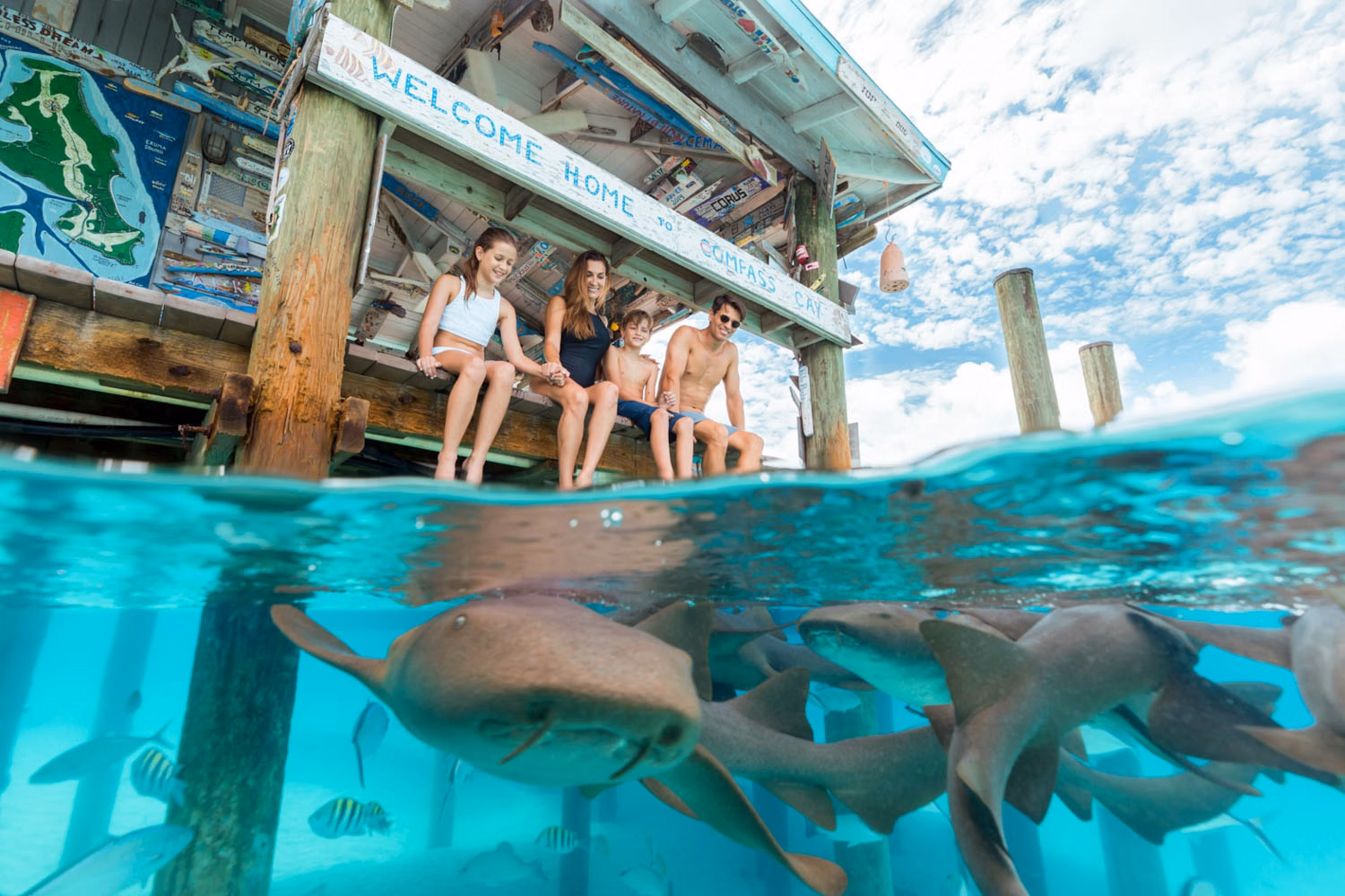 Compass Cay nurse sharks
