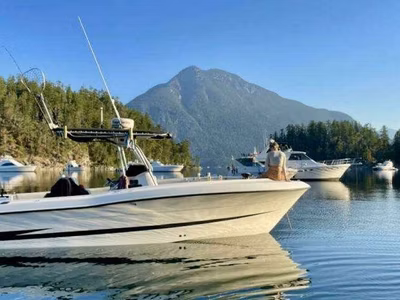 2002 Hydra-Sports 2796 Vector 