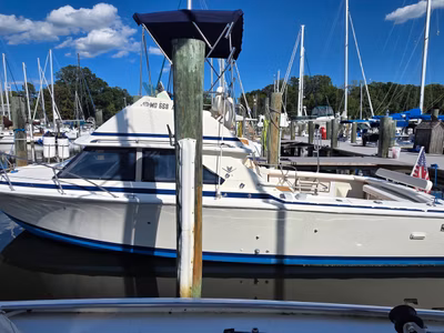 1983 Bertram 28 Flybridge