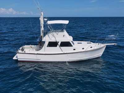 1983 Wilbur 38 