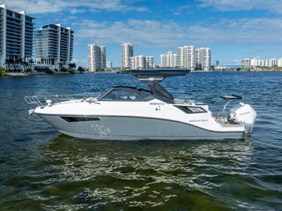 2026 Granfort Boats USA 300 GTX