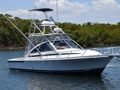 1995 Blackfin Boats Combi 33 