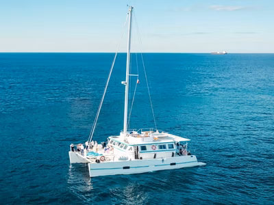 2017 Custom Maxi Day Charter CATAMARAN 65 