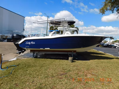 2006 Triton 2895 CC 