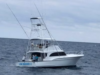 1990 Sunny Briggs 50' 
