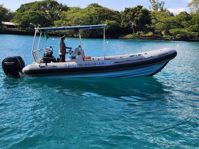 2002 Zodiac 733 